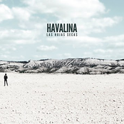 Desierto by Havalina