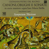 Buono:  Canoni, Oblighi e Sonate
