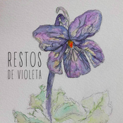 Restos de Violeta