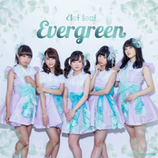 Evergreen (Type-A)