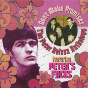 Don't Make Promises - The Peter Nelson Anthology