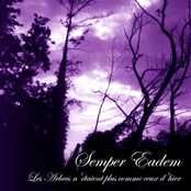 Les Arbres n'étaient plus comme ceux d'hier