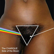 the charque side of the moon