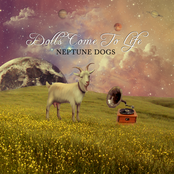 Neptune Dogs