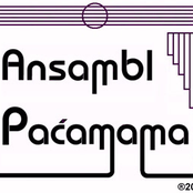 Ensemble Pachamama