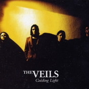 Death & Co. by The Veils