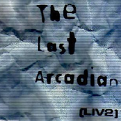 The Last Arcadian