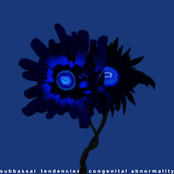 congenital abnormality