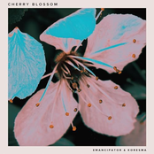 Cherry Blossom - Single