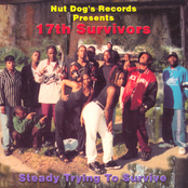 Steady Trying To Survive