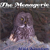 Hit Me by The Menagerie