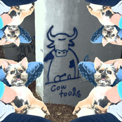 Wildlife Preserve - Single