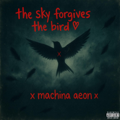 The Sky Forgives The Bird