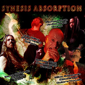 synesis absorption