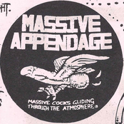 massive appendage