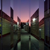 гиперпустырь