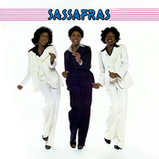 Sassafras