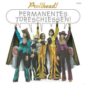 Permanentes Toreschiessen