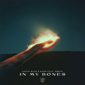 Justin Mylo: In My Bones