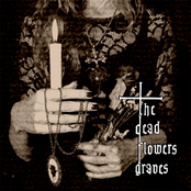 Three Dried Flowers in Her Hand