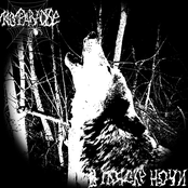 В Потоке Ночи 2015