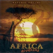 Africa awakens