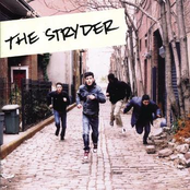 New York Woman by The Stryder