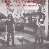 Bullets For Pussy