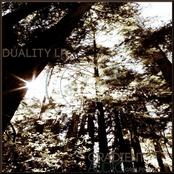 Duality LP