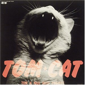 パークエリアに今夜9時 by Tom★cat