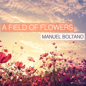 A Field of Flowers