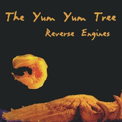 Reverse Engines