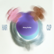 HAIRCLIP