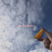 I'll Do It Again - Single