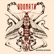 Gravitational Perturbation