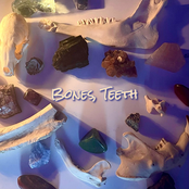 Bones, Teeth