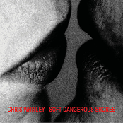 Breath Of Shadows by Chris Whitley