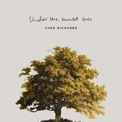 Under The Sunlit Tree