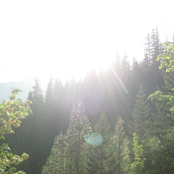 HERBAL CONCEPTS​/​INVASIVE SPECIES