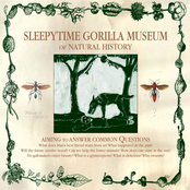 The 17-year Cicada by Sleepytime Gorilla Museum