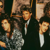 FM photo provided by Last.fm