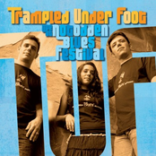 Trampled Under Foot: Live at Notodden Blues Festival