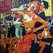Rock 'N' Roll Orgy, Vol. 7