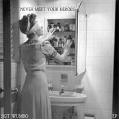 Never Meet Your Heroes