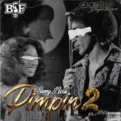 Sorry I Was Pimpin' 2