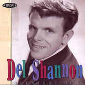 Stranger In Town by Del Shannon