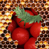 Disco Will Never Die, But You Will 1