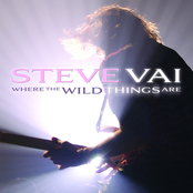 Treasure Island by Steve Vai