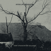 Den Svagsintes Klagan