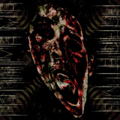 FORGIVE ME/FORGET ME